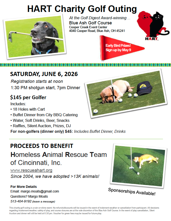 This image for Image Layouts addon